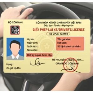 tra cứu giấy phép lái xe ô tô