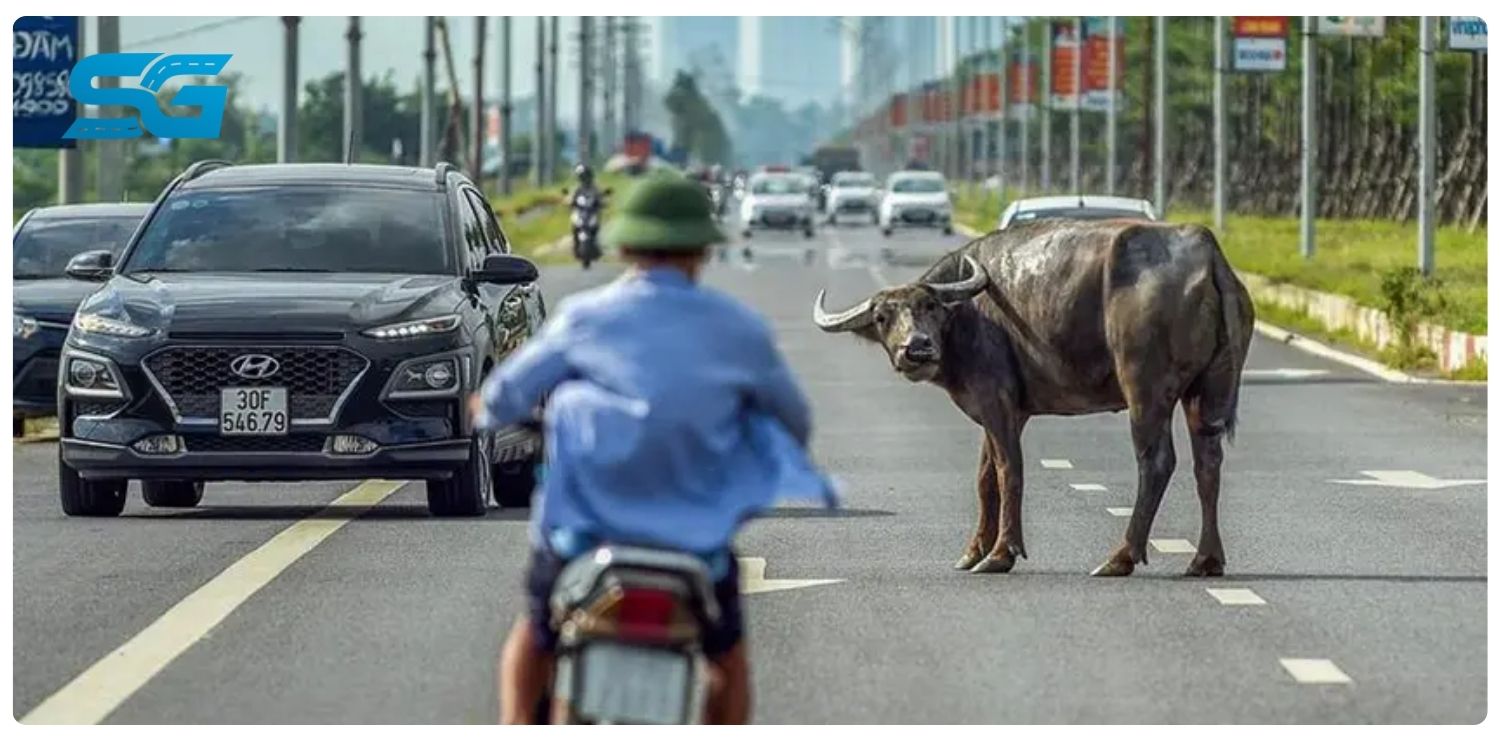 kinh nghiệm cho người mới lái xe ô tô
