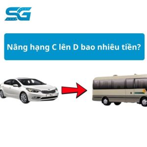 Nâng hạng C lên D bao nhiêu tiền