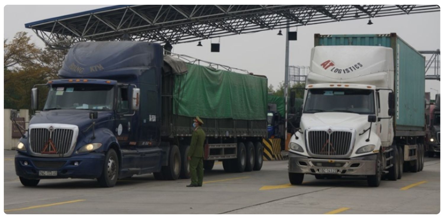 học bằng lái container